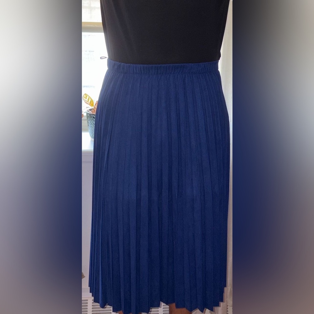 Blue Zara Skirt